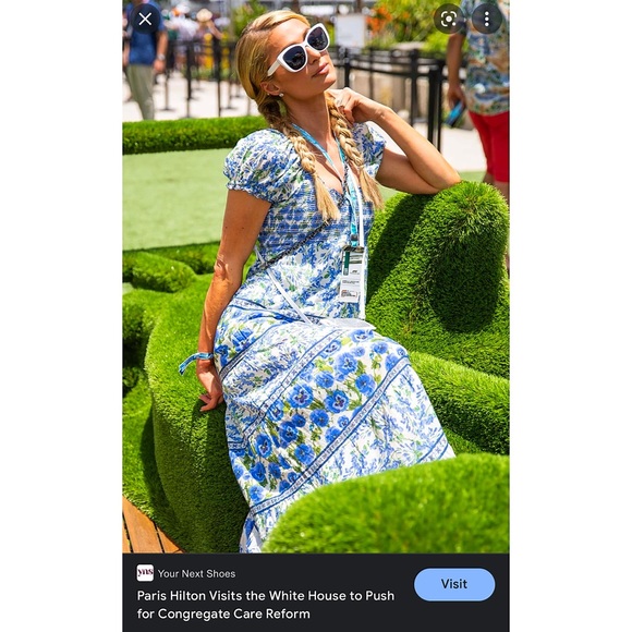 Alice + Olivia Rosalyn Floral Puff Sleeve Blue Maxi Dress - Picture 13 of 16